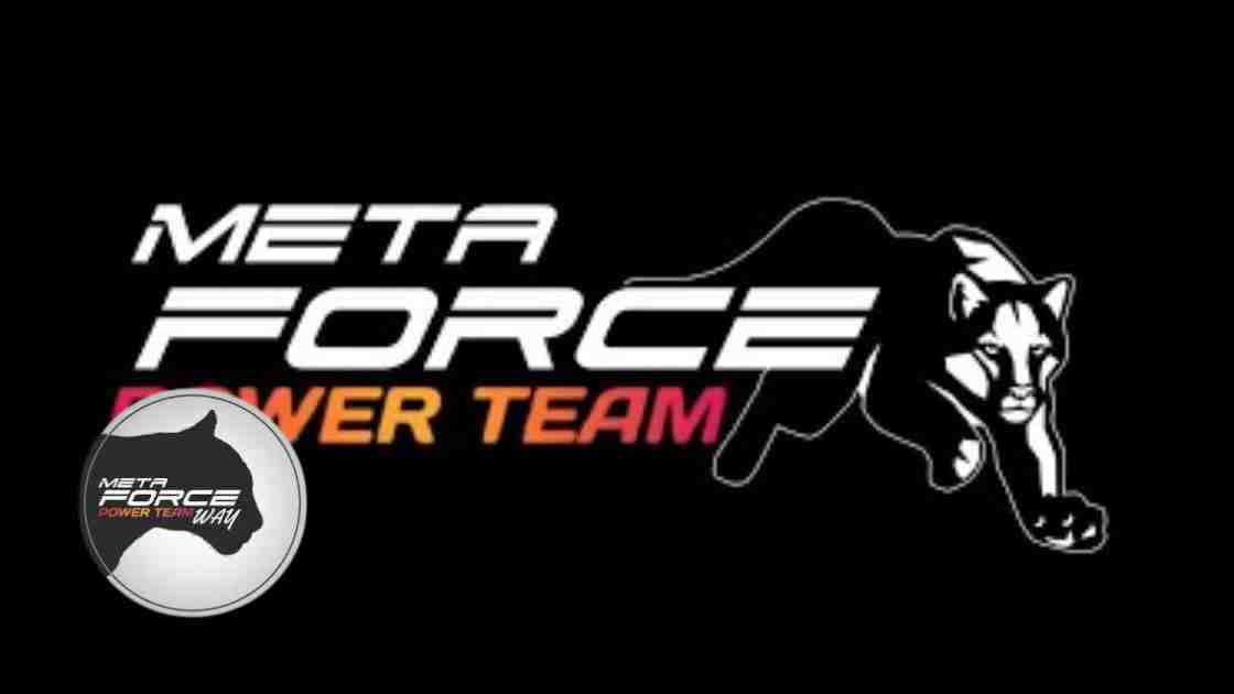 Meta Force Indonesia Adalah Apakah Aman