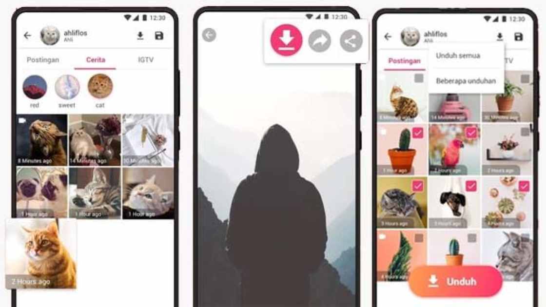 16 Situs Download Story IG Private Tanpa Aplikasi