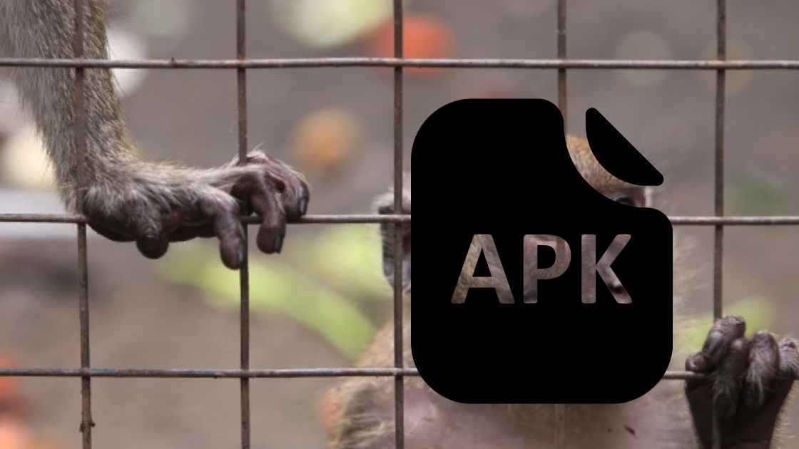 Aplikasi Kandang Monyet, Apk Apa Itu Maksudnya? Adalah Ini Penjelasannya