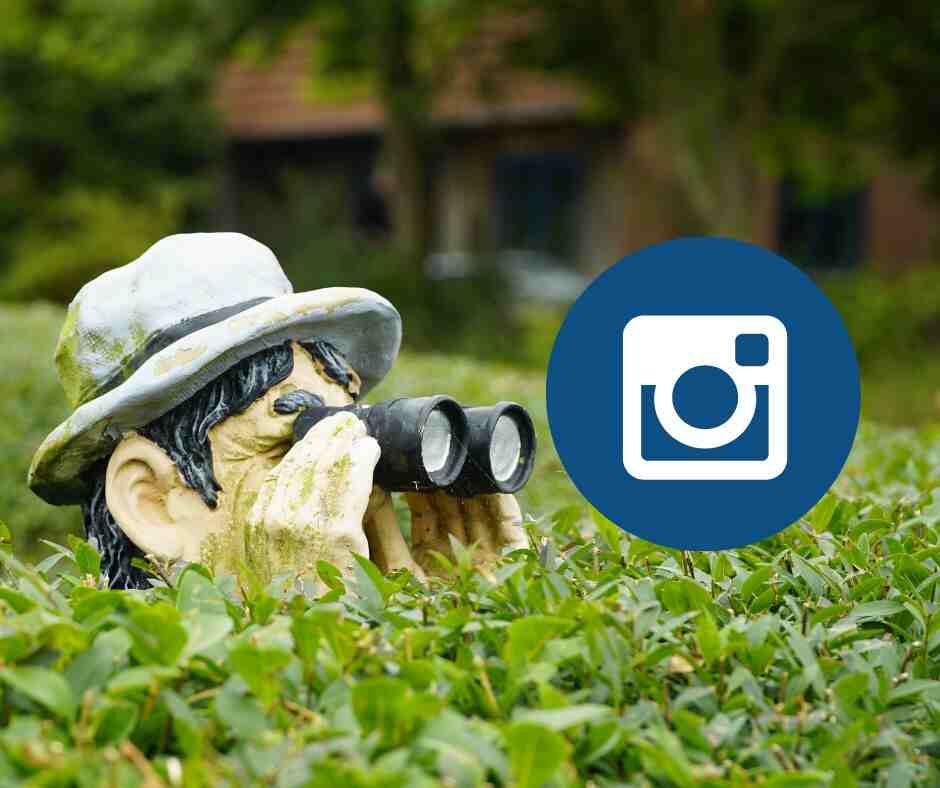 Newapps.Tech Instagram/Privategram