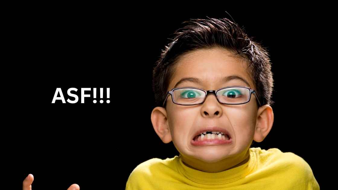 ASF Bahasa Gaul Artinya Singkatan Dari? What is AFS Mean?
