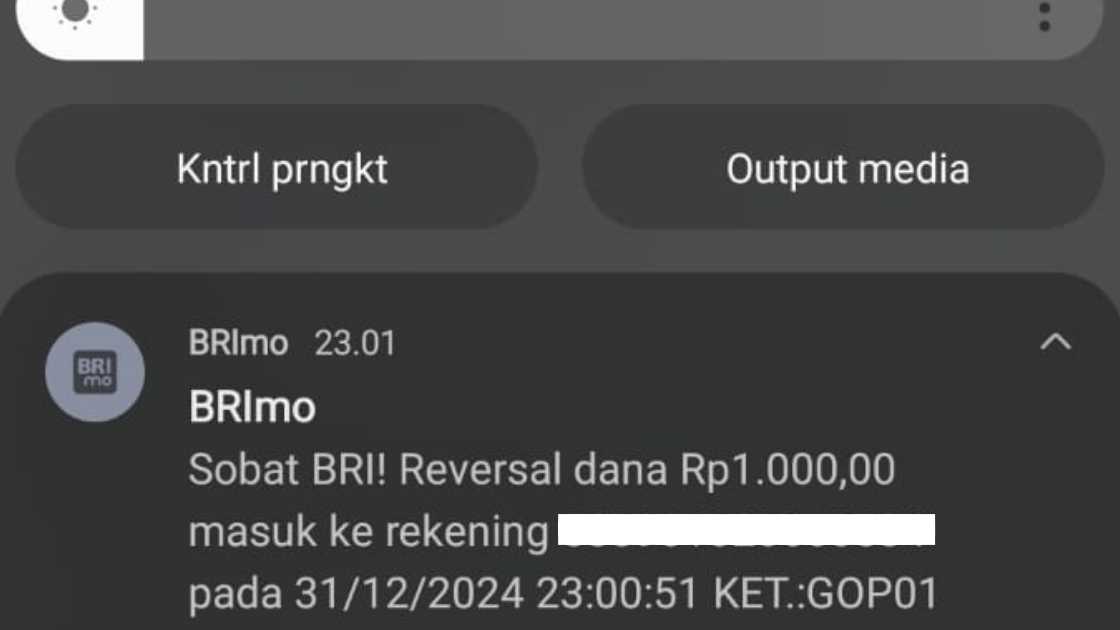 Reversal Dana BRI Artinya Adalah