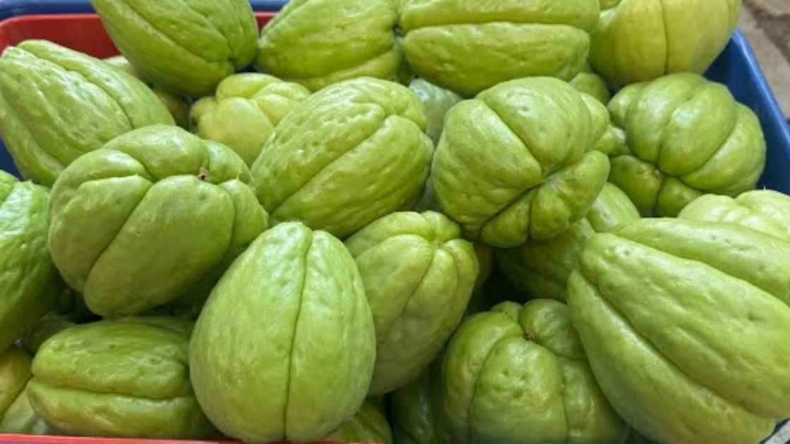 Xuxu Itu Buah Apa Di Indonesia? Begini Rasa Xuxu Fruit