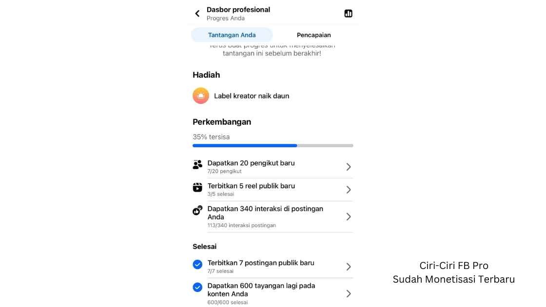 Ciri-Ciri FB Pro Sudah Monetisasi Terbaru