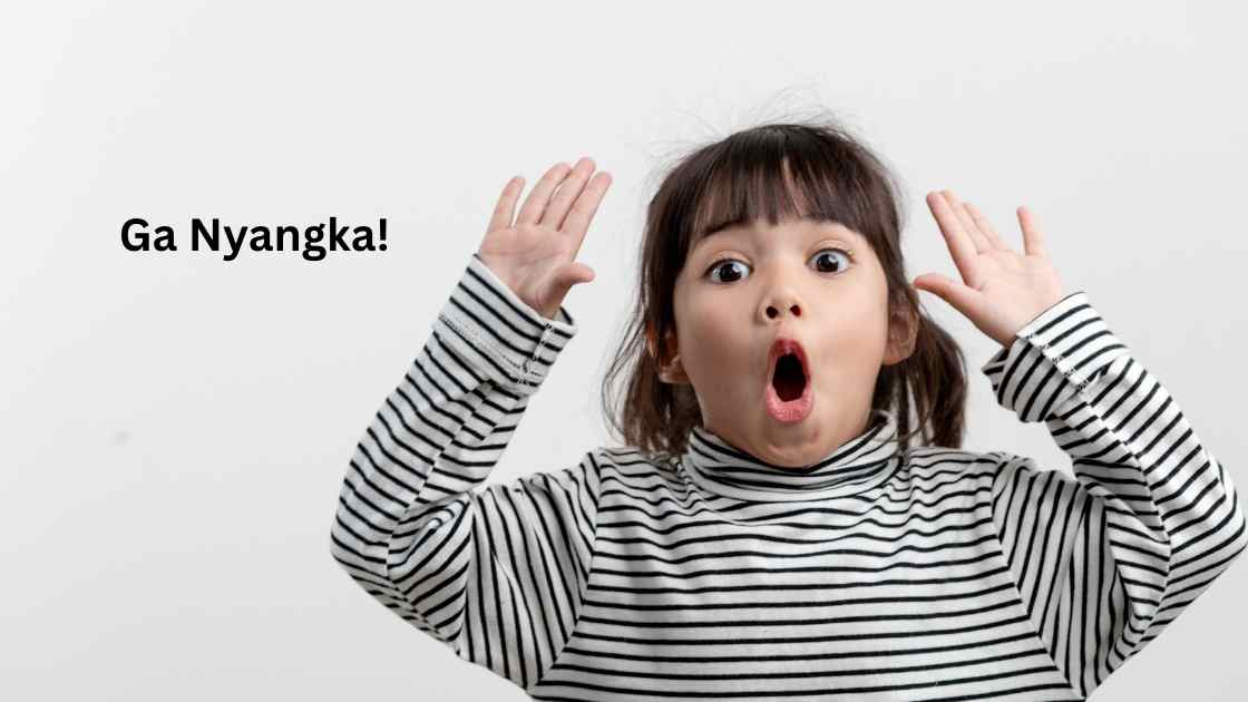 Ga Nyangka Bahasa Gaul, Penjelasannya