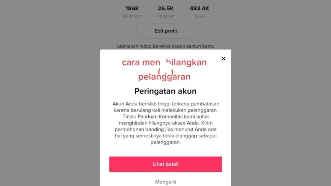Kenapa Melanggar Panduan Platform TikTok? Ini Arti dan Cara Menghilangkan Pelanggaran Komunitas