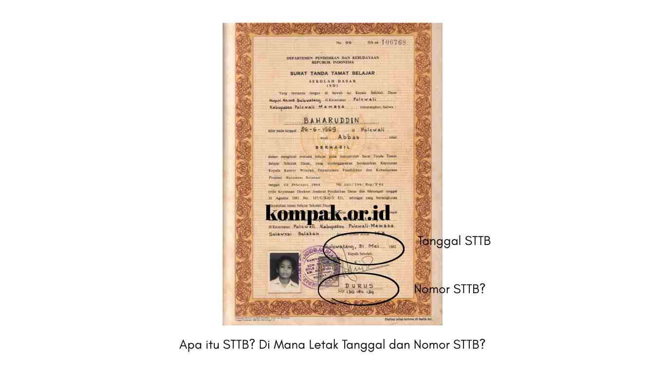 Tanggal dan Nomor STTB?